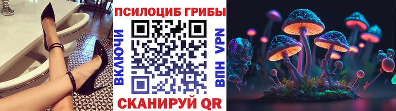 Галлюциногенные грибы GOLDEN TEACHER  Купить  Цивильск